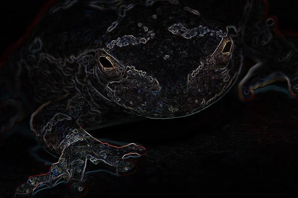 네온 코 프의 회색 나무 개구리 — 스톡 사진