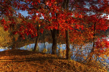 sonbahar nehir banka HDR