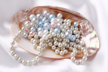 Pearls in a shell clipart