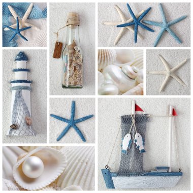 Collage of summer sea stars clipart