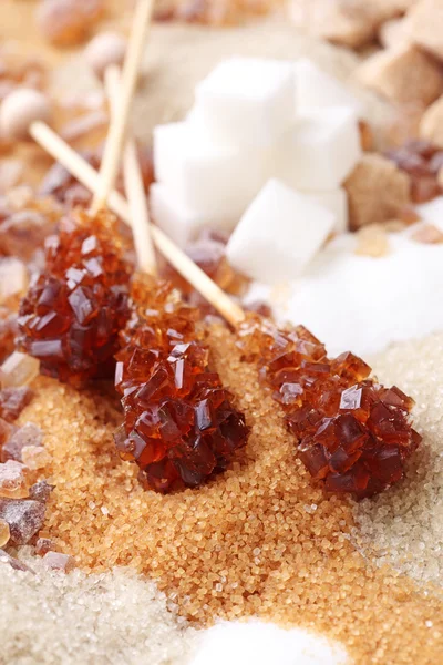 Various kinds of sugar — Stock Photo, Image