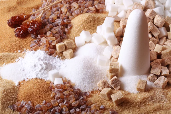 Различные виды сахара — стоковое фото