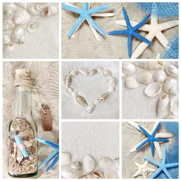 Collage de conchas marinas de verano — Foto de Stock