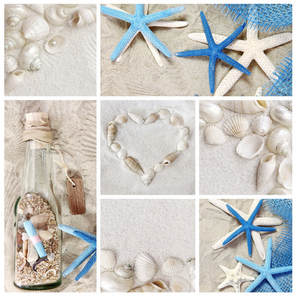 Collage of summer seashells