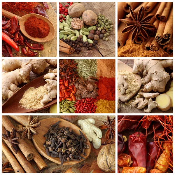 Kryddor collage — Stockfoto