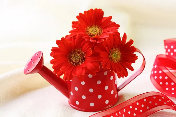 Red gerber flowers — Stock Photo, Image