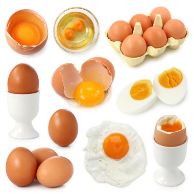 Egg collection clipart