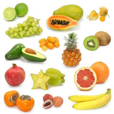 Exotic fruits clipart