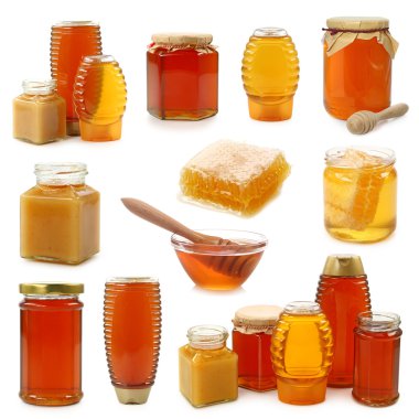 Honey collection clipart