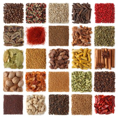 Indian spices collection clipart