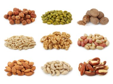 Nuts collection clipart