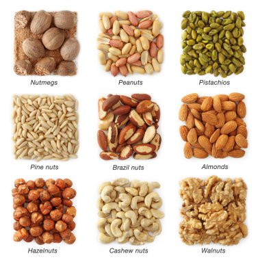 Nuts collection with titles clipart