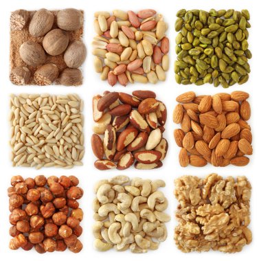 Nuts collection clipart