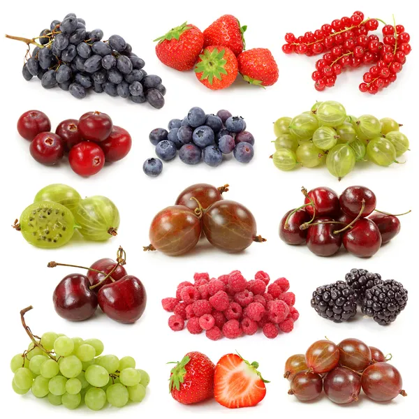 Fresh berries collection — Stock Photo, Image