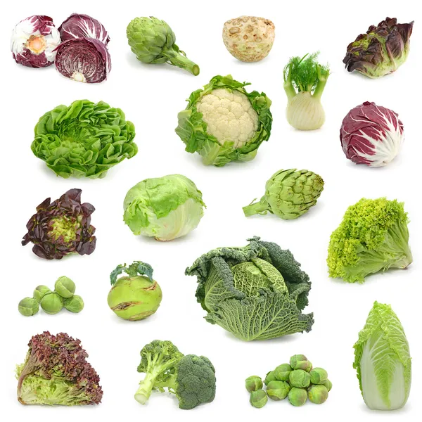 Коллекция капусты и зеленых овощей — стоковое фото