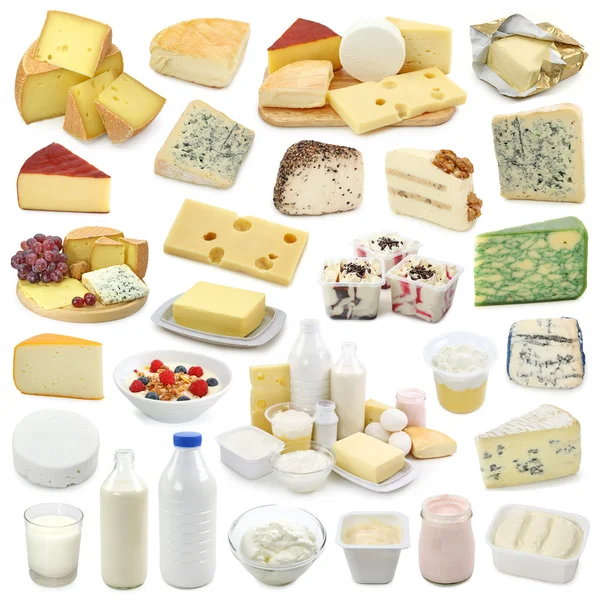 Kolekcja produktów mlecznych — Zdjęcie stockowe
