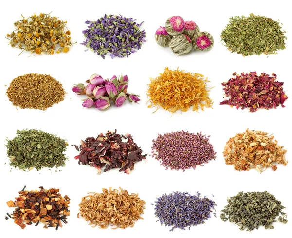 Bloemen en kruiden thee-collectie — Stockfoto