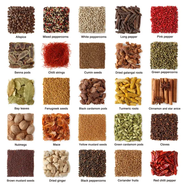 Indiase specerijen collectie — Stockfoto