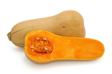 Butternut squash clipart