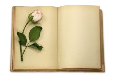 Old notepad and dried rose clipart