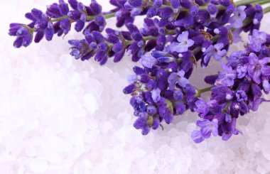 Fresh lavender and bath salt clipart