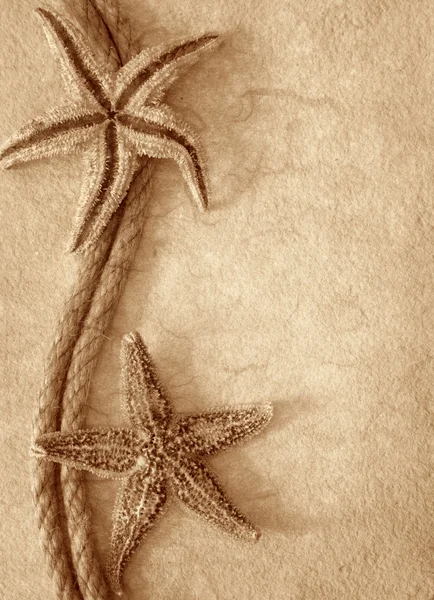 Веревка и морские звезды — стоковое фото