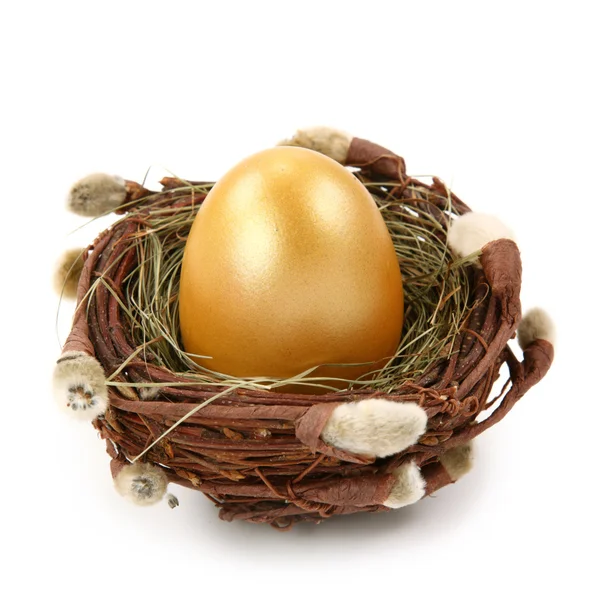 Huevo dorado en el nido —  Fotos de Stock