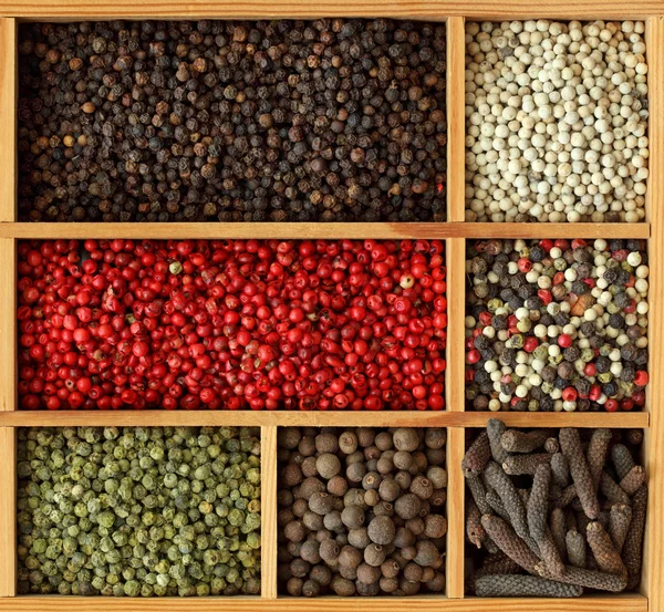 Surtido de granos de pimienta — Foto de Stock