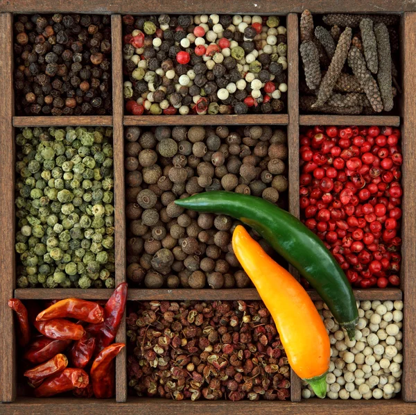 Asortyment pieprzu i chili — Zdjęcie stockowe