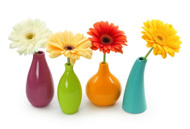Flowers in vases clipart