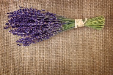 Bunch of dried lavender flowers clipart