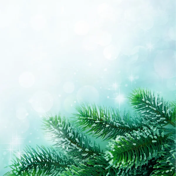 Christmas tree branch — Stock Photo, Image