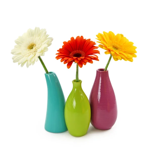 Kwiaty w wazonach — Zdjęcie stockowe