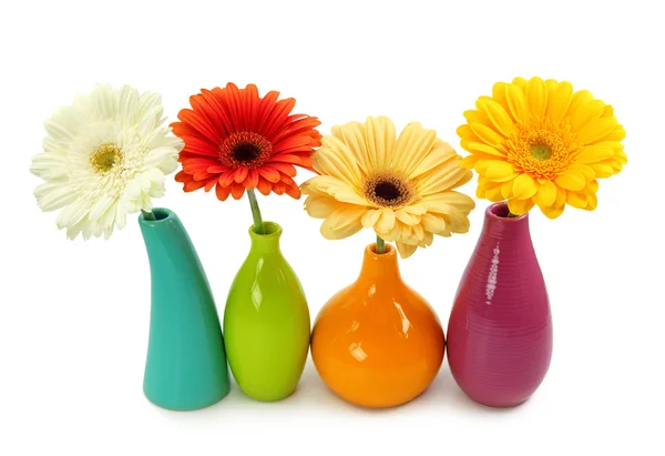 Blumen in Vasen — Stockfoto