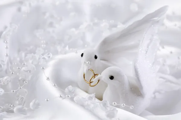 Białe gołębie — Zdjęcie stockowe
