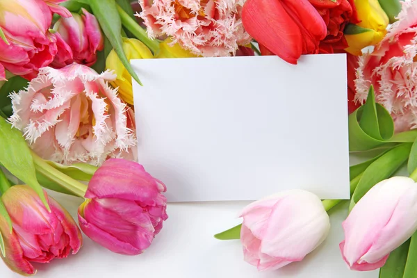 Tulipanes coloridos con nota en blanco —  Fotos de Stock