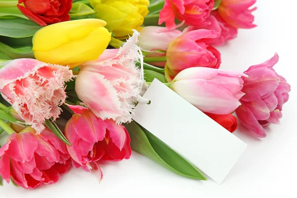 Barevné tulipány s prázdná Poznámka — Stock fotografie