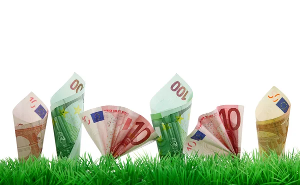 Geld in gras groeien — Stockfoto