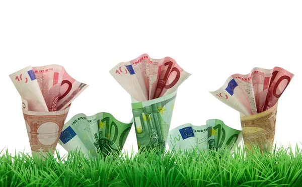 Geld in gras groeien — Stockfoto