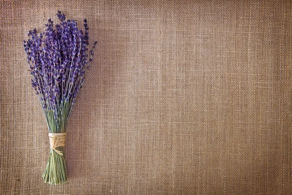 Bunch of dried lavender flowers — Stock Photo, Image