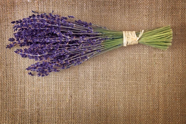 Stock image Bunch of dried lavender flowers