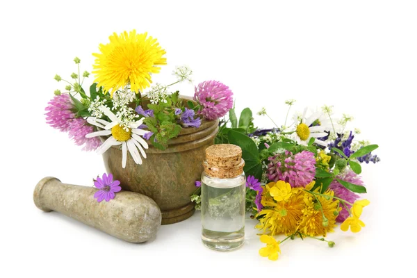 Mortaio con fiori freschi e olio essenziale — Foto Stock