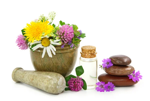 Mortero con flores frescas y aceite esencial — Foto de Stock