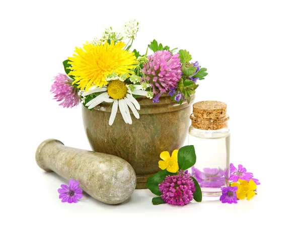 Mortar with fresh flowers and essential oil — Stock Photo, Image