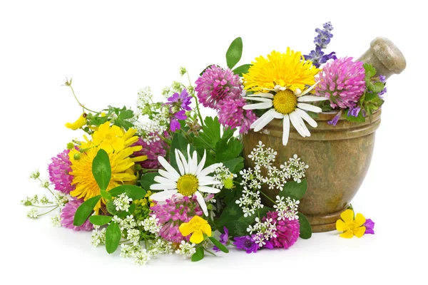 Mortar with fresh flowers — Stock Photo, Image
