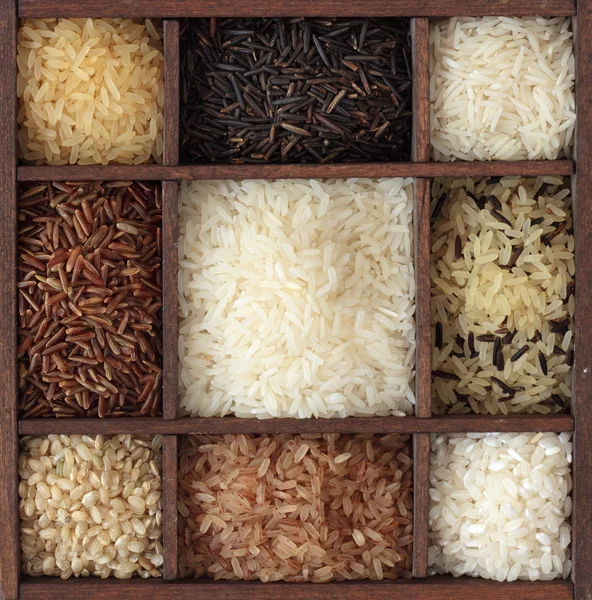 Асортимент рису — стокове фото