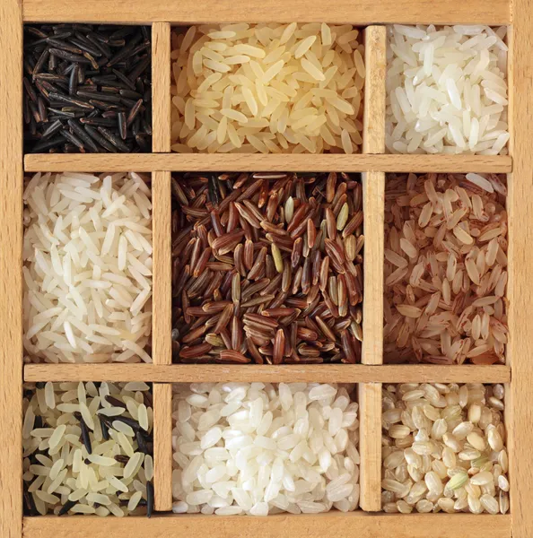 Asortyment ryżu — Zdjęcie stockowe