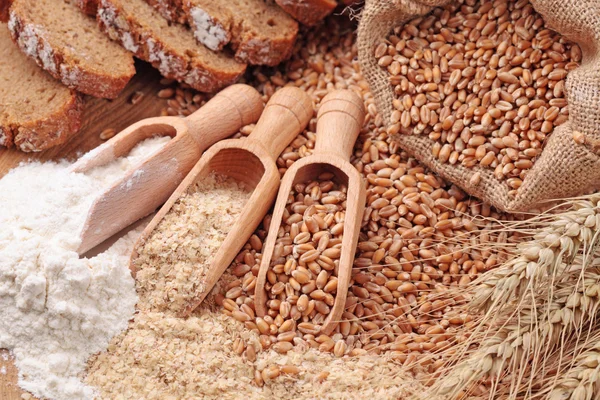 Ziarna pszenicy, otręby i mąki — Zdjęcie stockowe