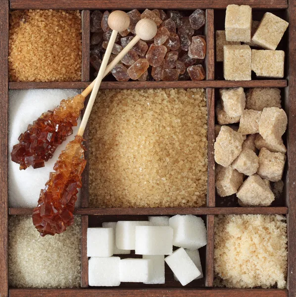 Verschiedene Arten von Zucker — Stockfoto
