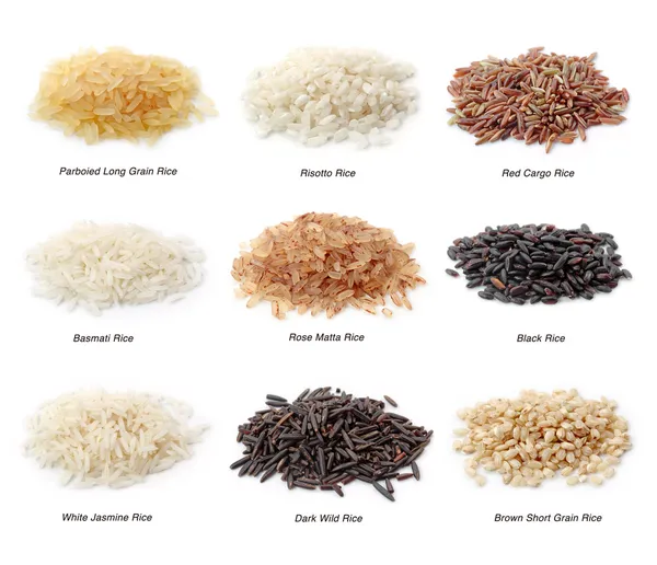 Rýže kolekce — Stock fotografie